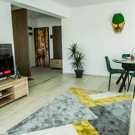Stag Loft Brasov-2